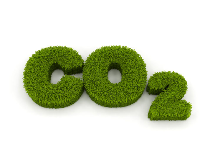 Carbon Neutral