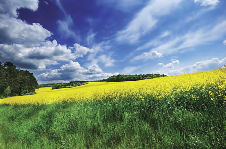 Dawson Creek Sustainable Energy