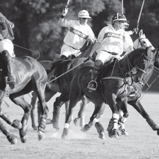 THE RUSH OF POLO