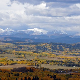Shadow Rockies