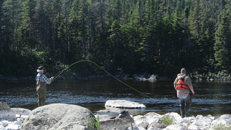 Canada Fishing Trips For Catching Salmon | OUR GREAT MINDS