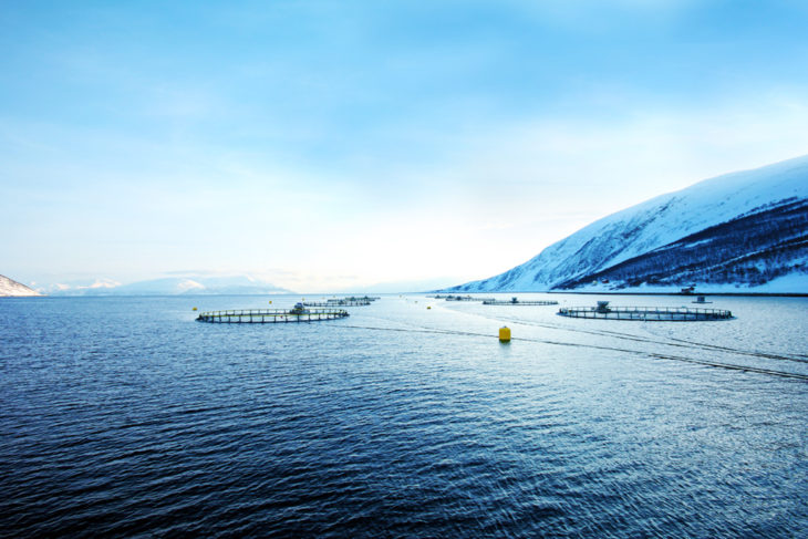 Grieg Seafood Site In Norway