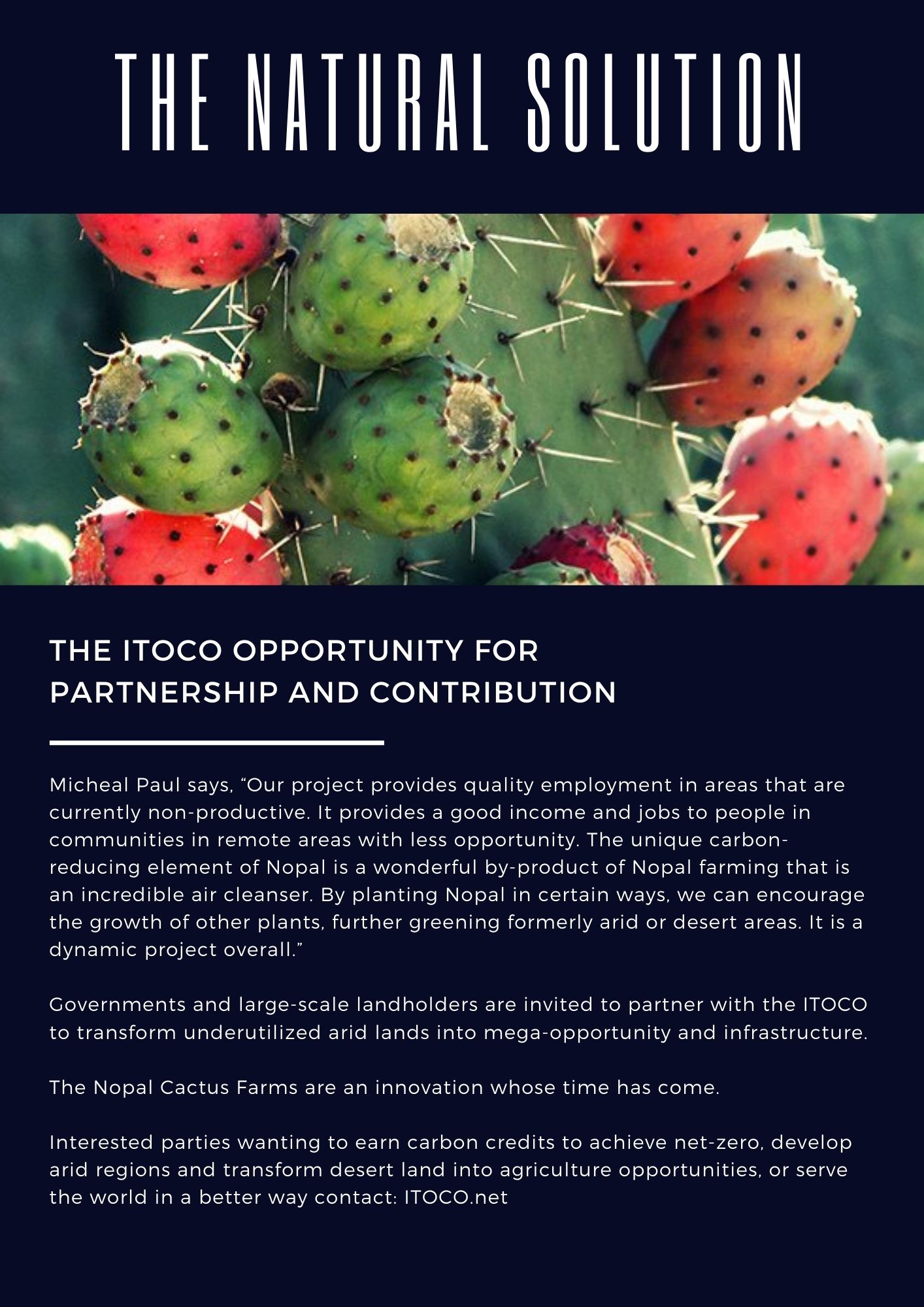 Climate Change Effects and Their Solutions by ITOCO Cactus Farming