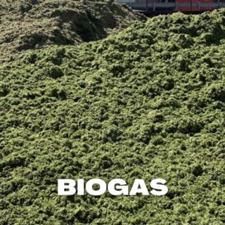 biogas
