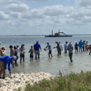 Carbon Sequestration Value of Restored Oyster Beds