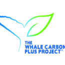 The Whale Carbon Plus Project™