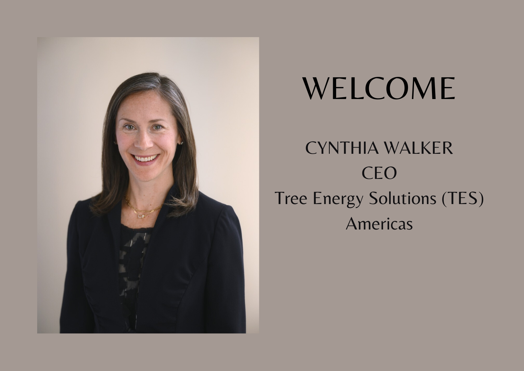 tes-makes-strategic-move-into-the-north-american-market-and-announces-appointment-of-cynthia