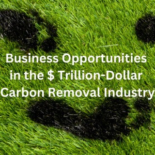 Business Opportunities in the Trillion-Dollar Carbon Removal Industry