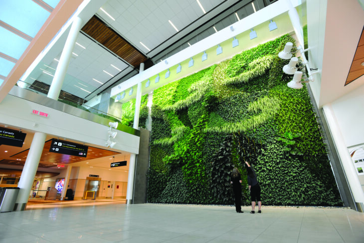 Living Wall - YEG