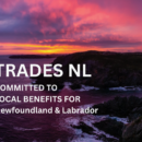 Trades NL