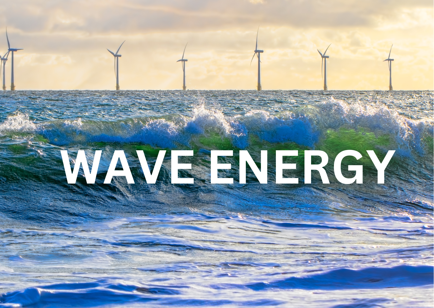 wave energy turbine