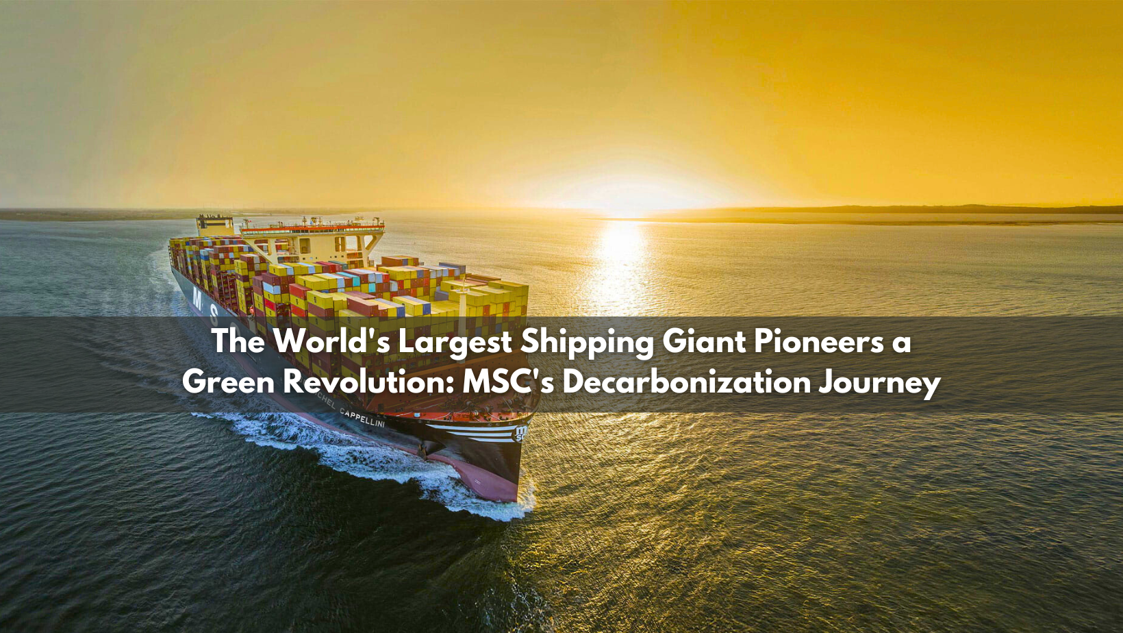 Charting a Greener Course: MSC's Leadership in Sustainable Shipping Innovations